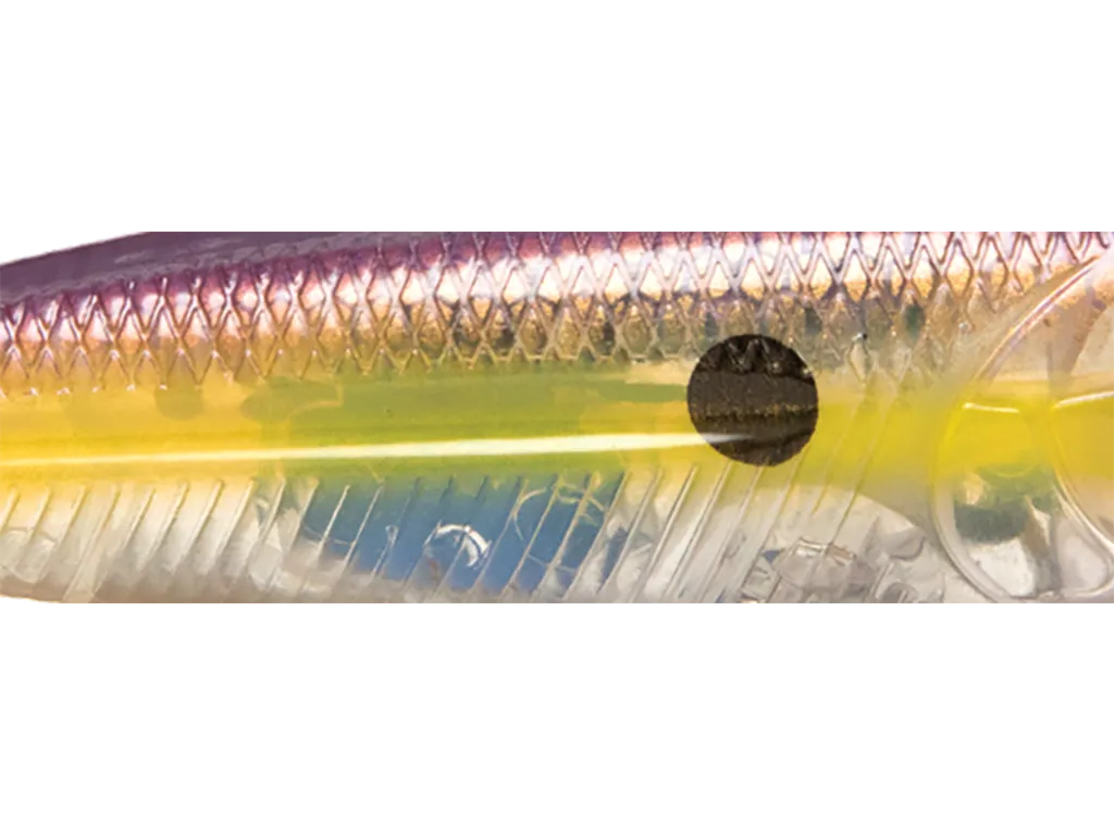 Livingston-Ghost-Purple-Haze-colour