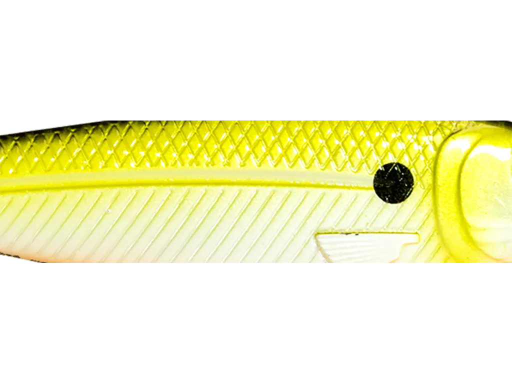 Livingston-Tennesse-Shad-colour