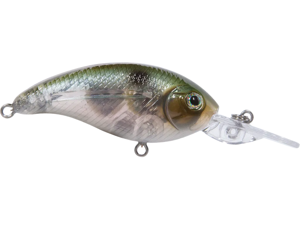 Livingston Lures Deep Impact 6: Ghost Gizzard Shad