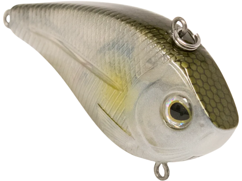 Livingston Lures Flatside 50: AYU