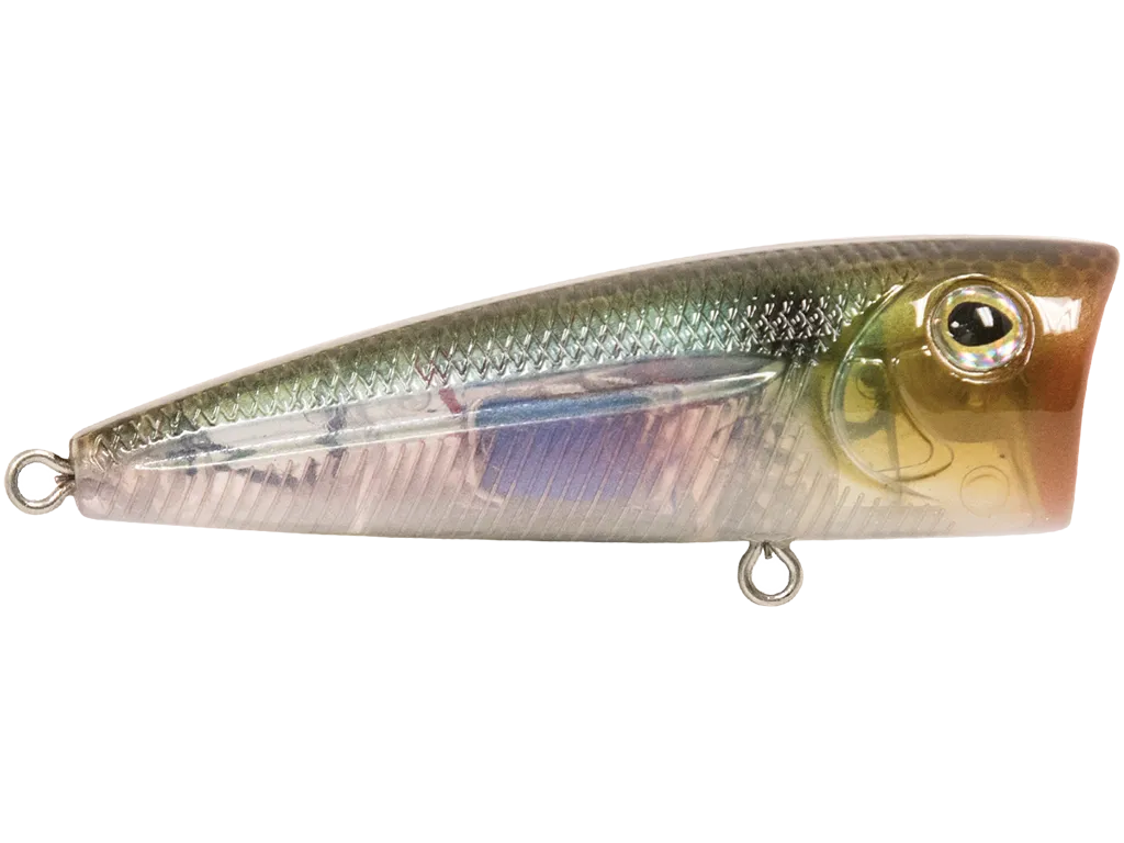 Livingston Lures Walk N Pop 67: Ghost Gizzard Shad