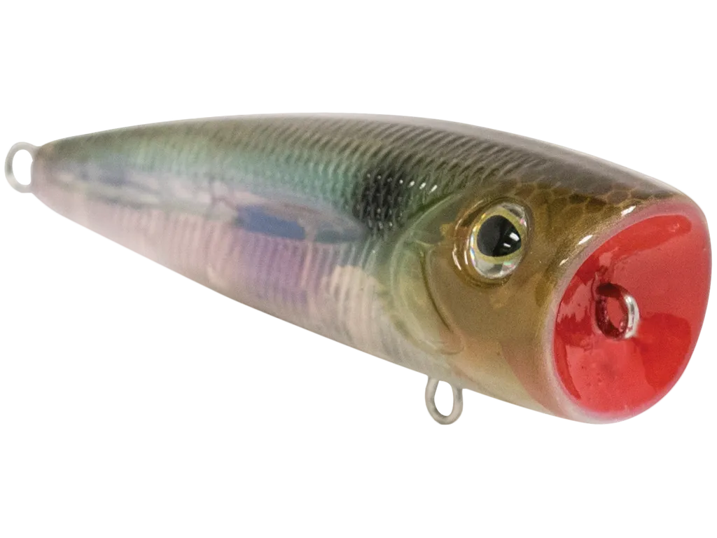 Livingston Lures Walk N Pop 67: Ghost Gizzard Shad