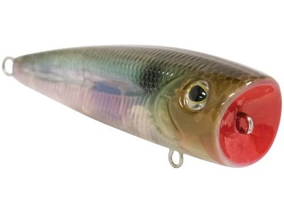 Livingston Lures Walk N Pop 67: Ghost Gizzard Shad