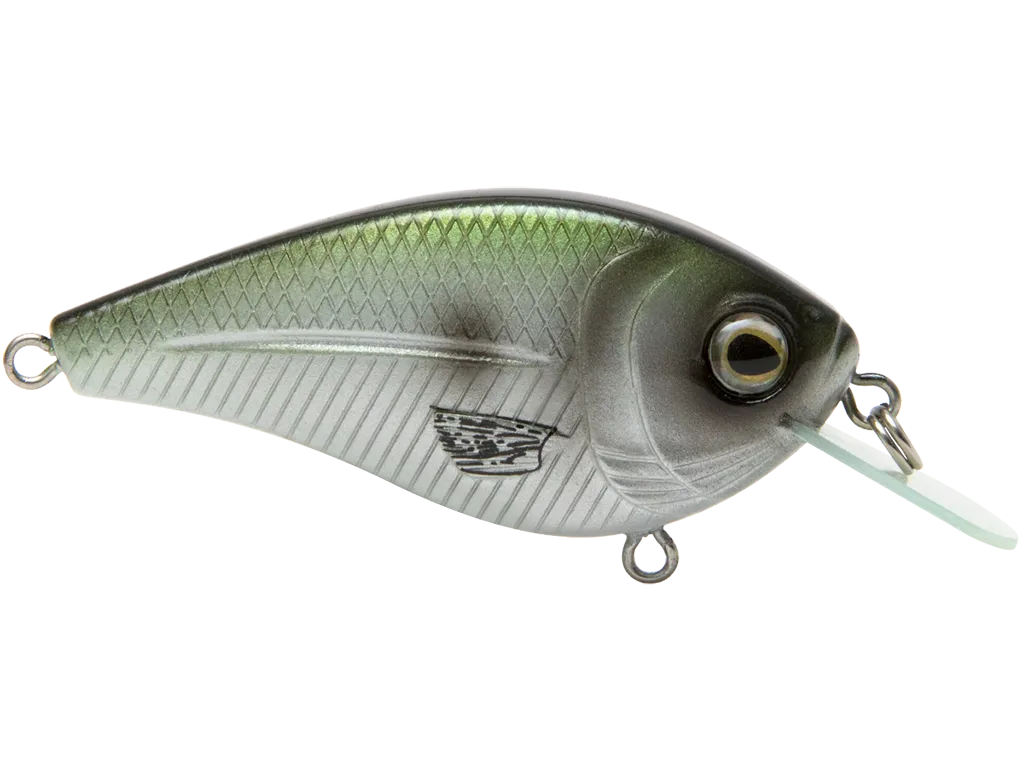 Livngston Lures FlatMaster SQ: Blue Back Herring