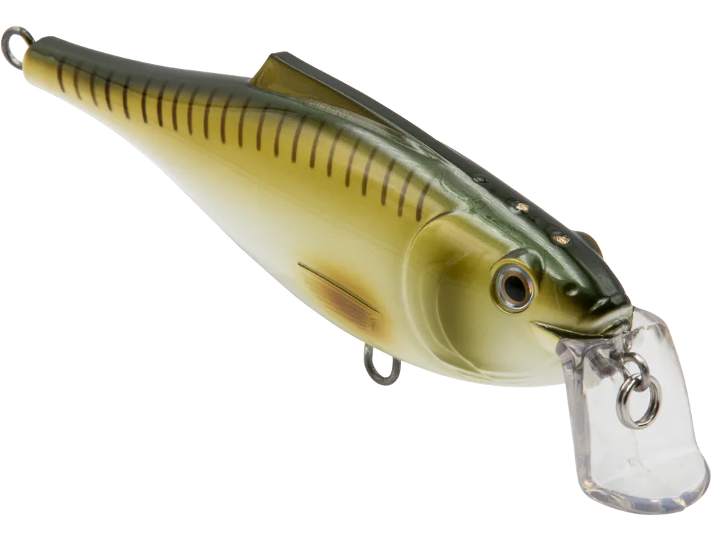 Livingston Lures BullDozer SW: Natural Croaker