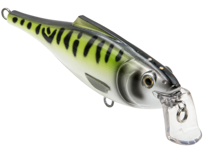 Livingston Lures BullDozer SW: Green Mackerel