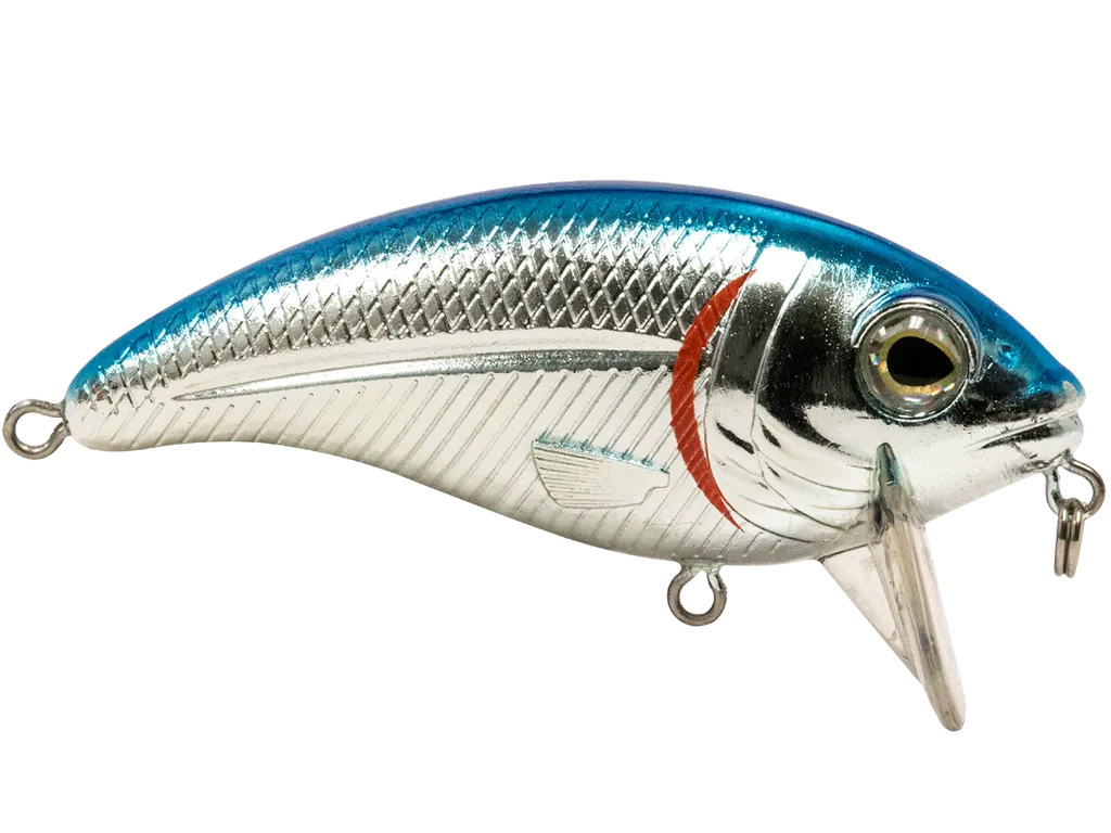 Livingston Lures Bull Nose SW: Blue Back/Chrome Shad