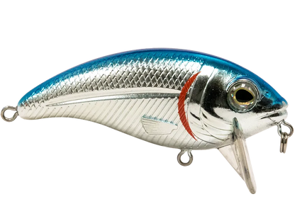 Livingston Lures Bull Nose SW: Blue Back/Chrome Shad