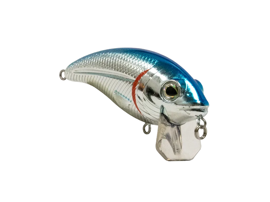 Livingston Lures Bull Nose SW: Blue Back/Chrome Shad