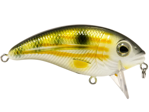 Livingston Lures Bull Nose SW: Pinfish