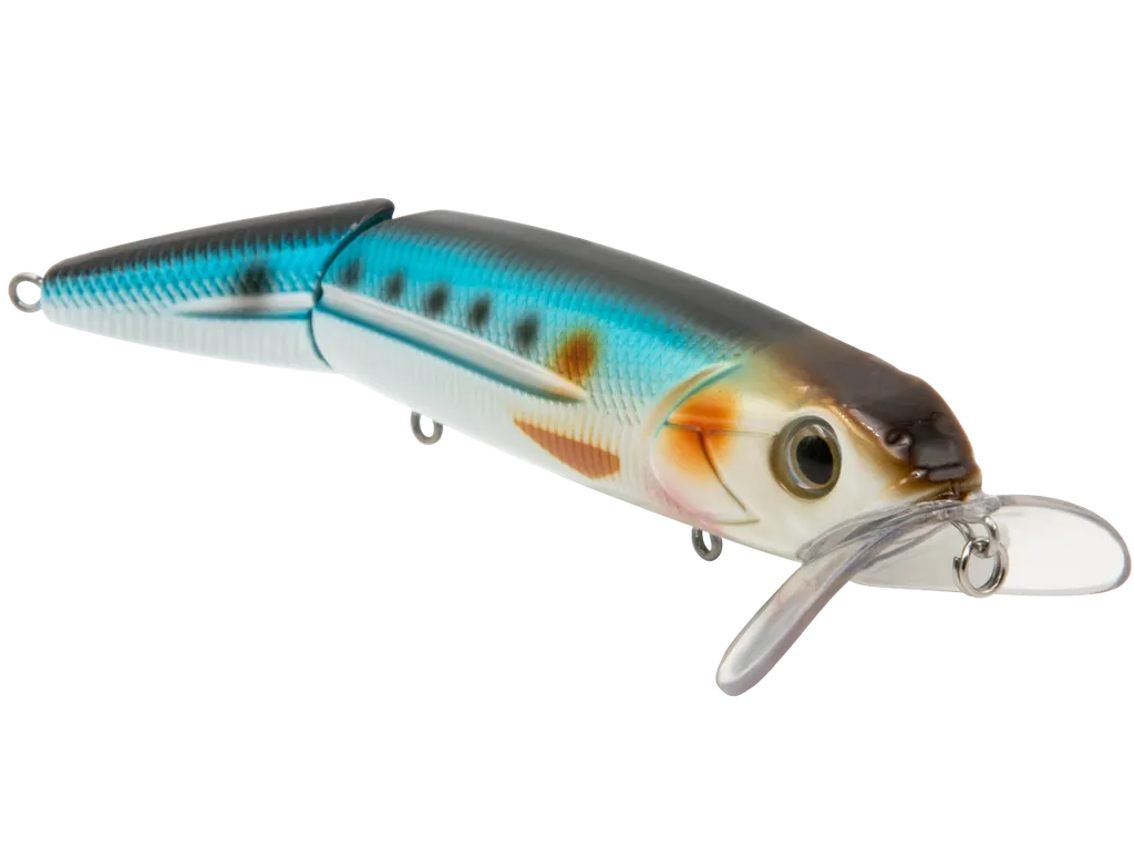 Livingston Lures Walking Boss II Inshore SW: Blue Sardine