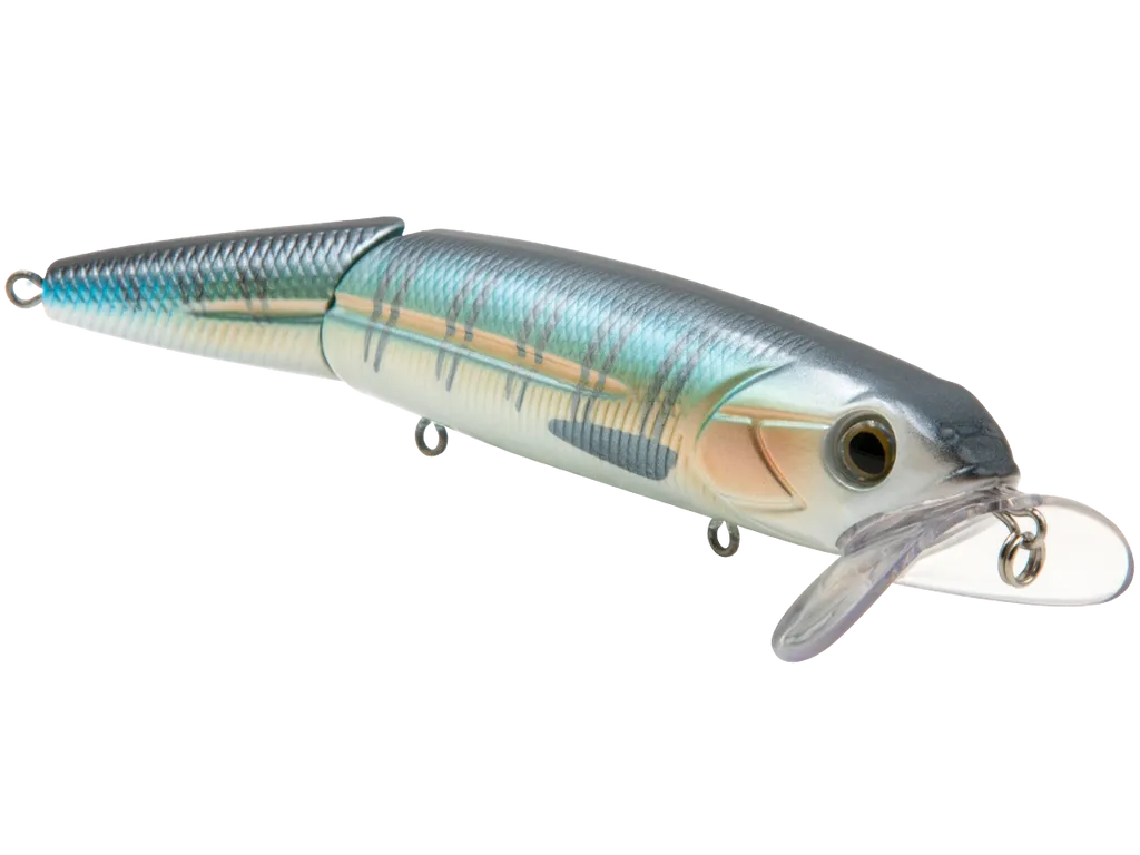 Livingston Lures Walking Boss II Inshore SW: Wahoo