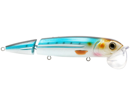 Livingston Lures Walking Boss II Magnum SW: Blue Sardine