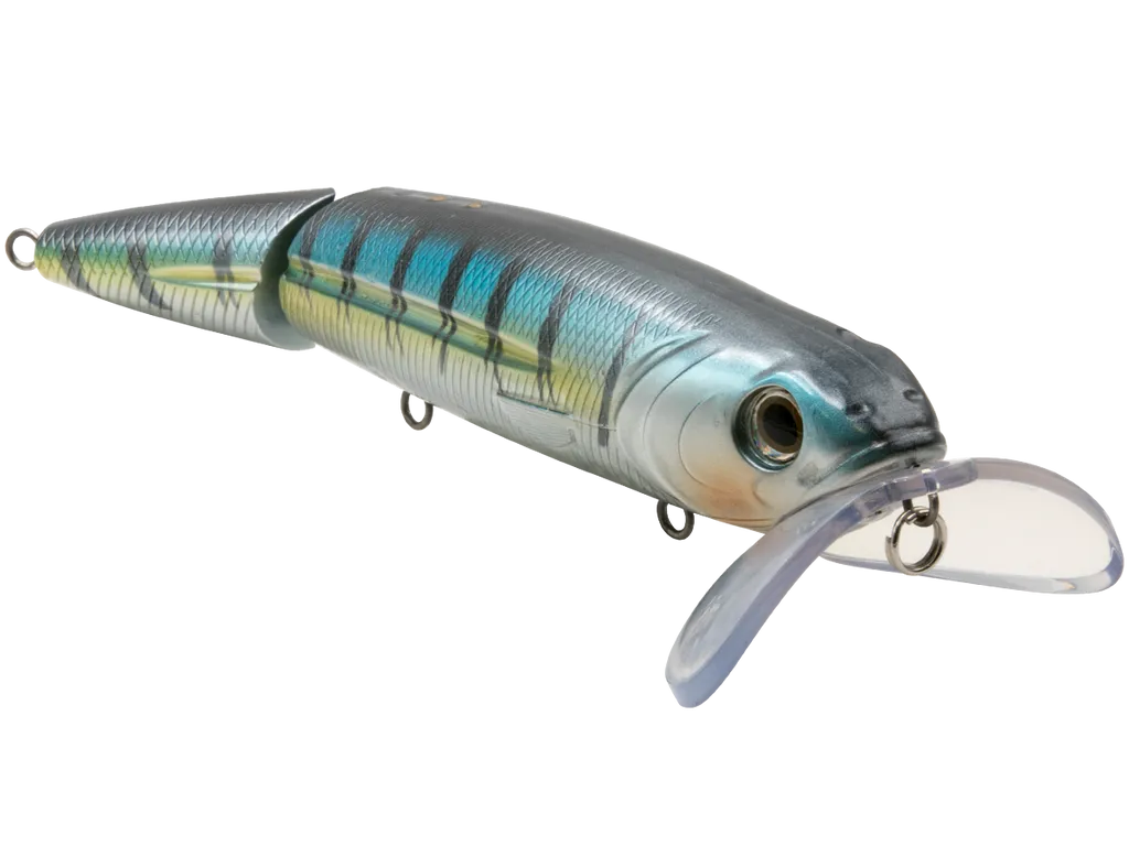 Livingston Lures Walking Boss II Magnum SW: Wahoo