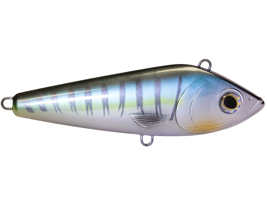 Livingston Lures Big Shot: Wahoo