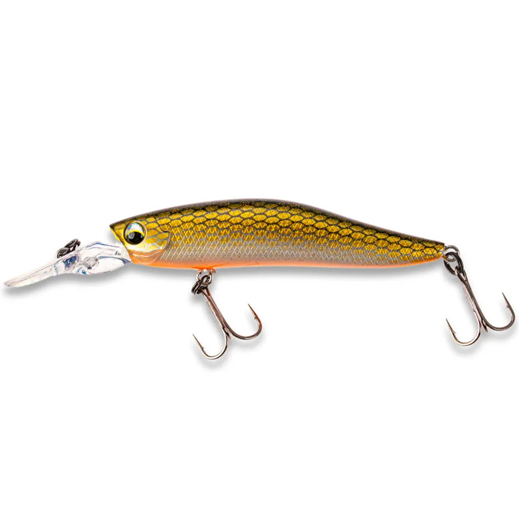 LMAB KOFI Flash Vibe 80SP: Golden Roach