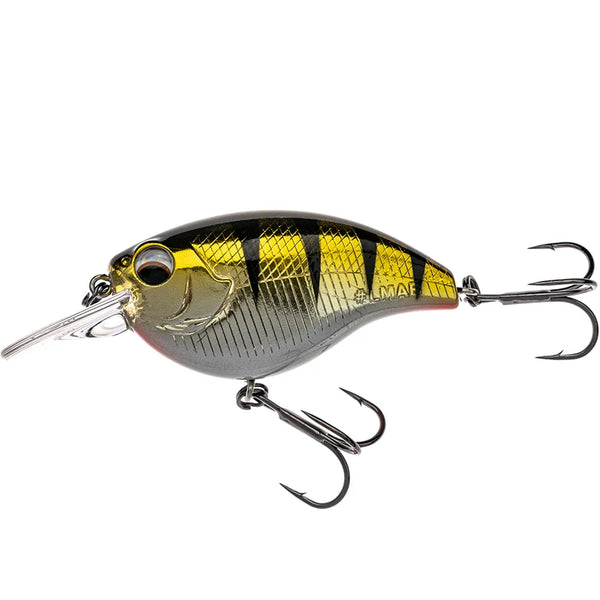 LMAB KOFI Power Vibe 55F SR: Real Perch