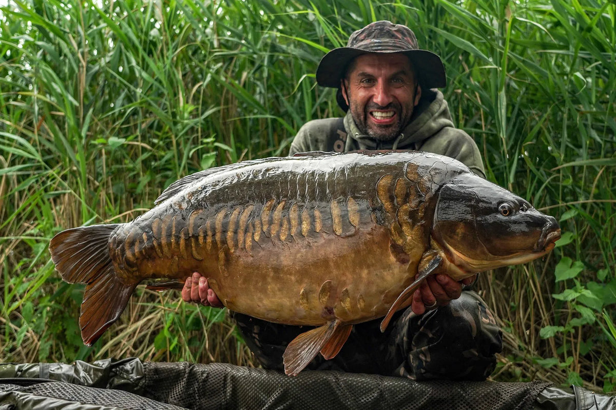 Али Хамиди и OMC The Magic Twig Lead Clip