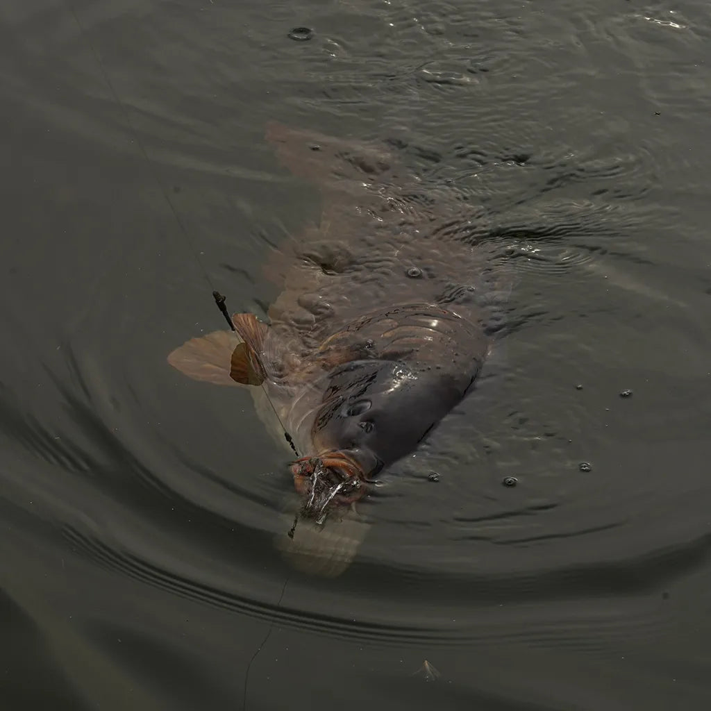 OMC TWEAKERS Kickback Linkz + Dog Bone Ronnie Clips