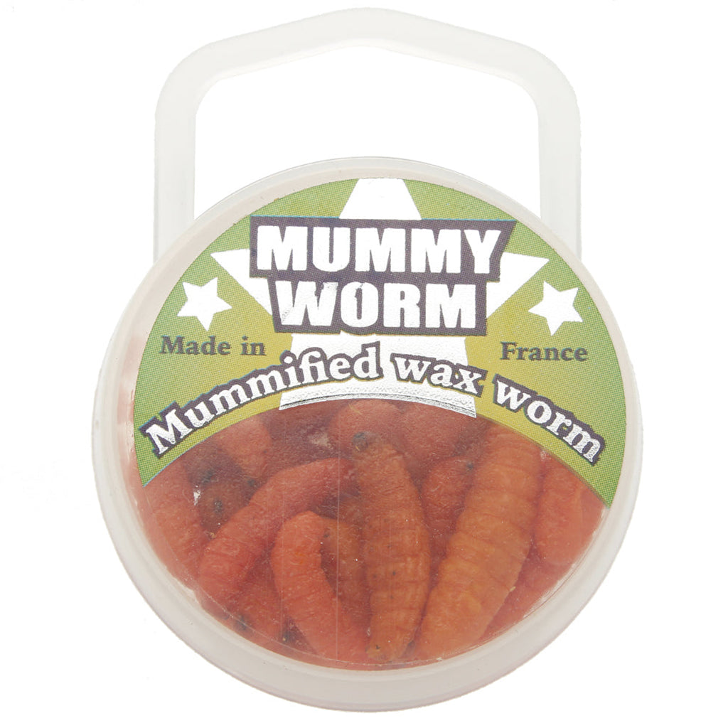 Sud Appats Mummy Worms: Orange